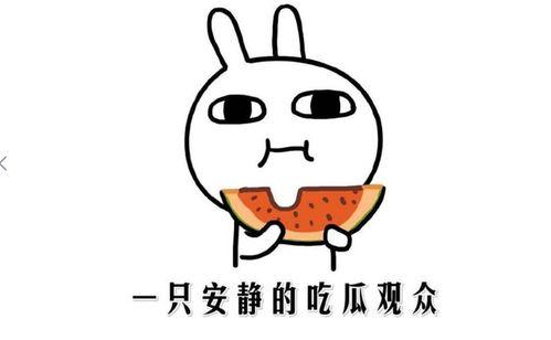 娱乐吃瓜酱如何赚钱的,揭秘网红如何通过吃瓜赚钱的秘密