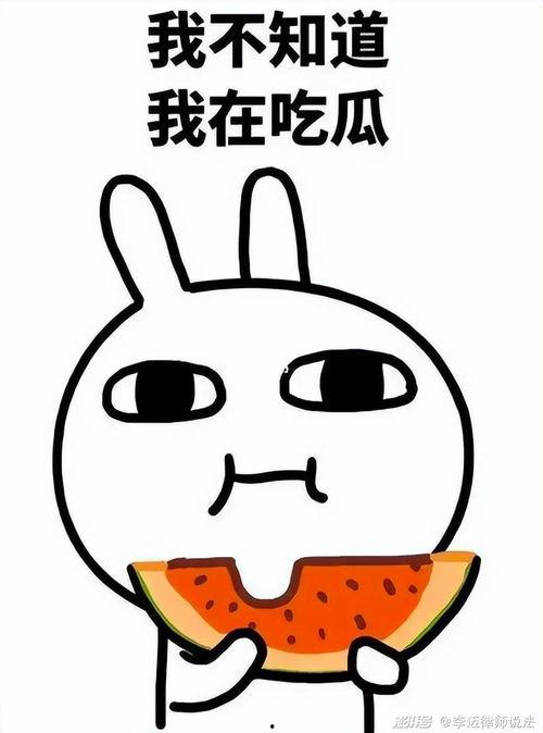 娱乐吃瓜蛋仔名字大全,趣味横生的昵称盛宴